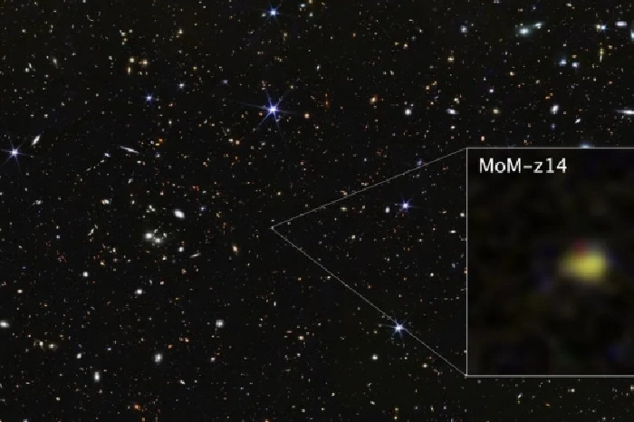 James Webb Space Telescope menemukan MoM-z14, galaksi tertua dan terjauh dikonfirmasi sampai saat ini. Foto: NASA/ESA/CSA/STScI