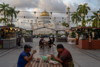 FDI di Brunei Darussalam