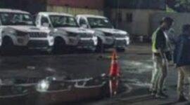 Sebagian mobil pick up impor dari India telah tiba di Indonesia seperti tampak dalam foto.