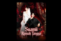 Sinopsis Drama China Suami Rumah Tangga
